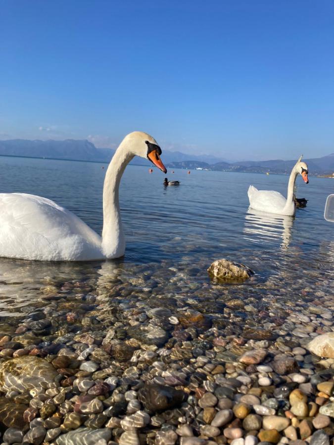 Garda Art&Lake Пескьера-дель-Гарда Экстерьер фото